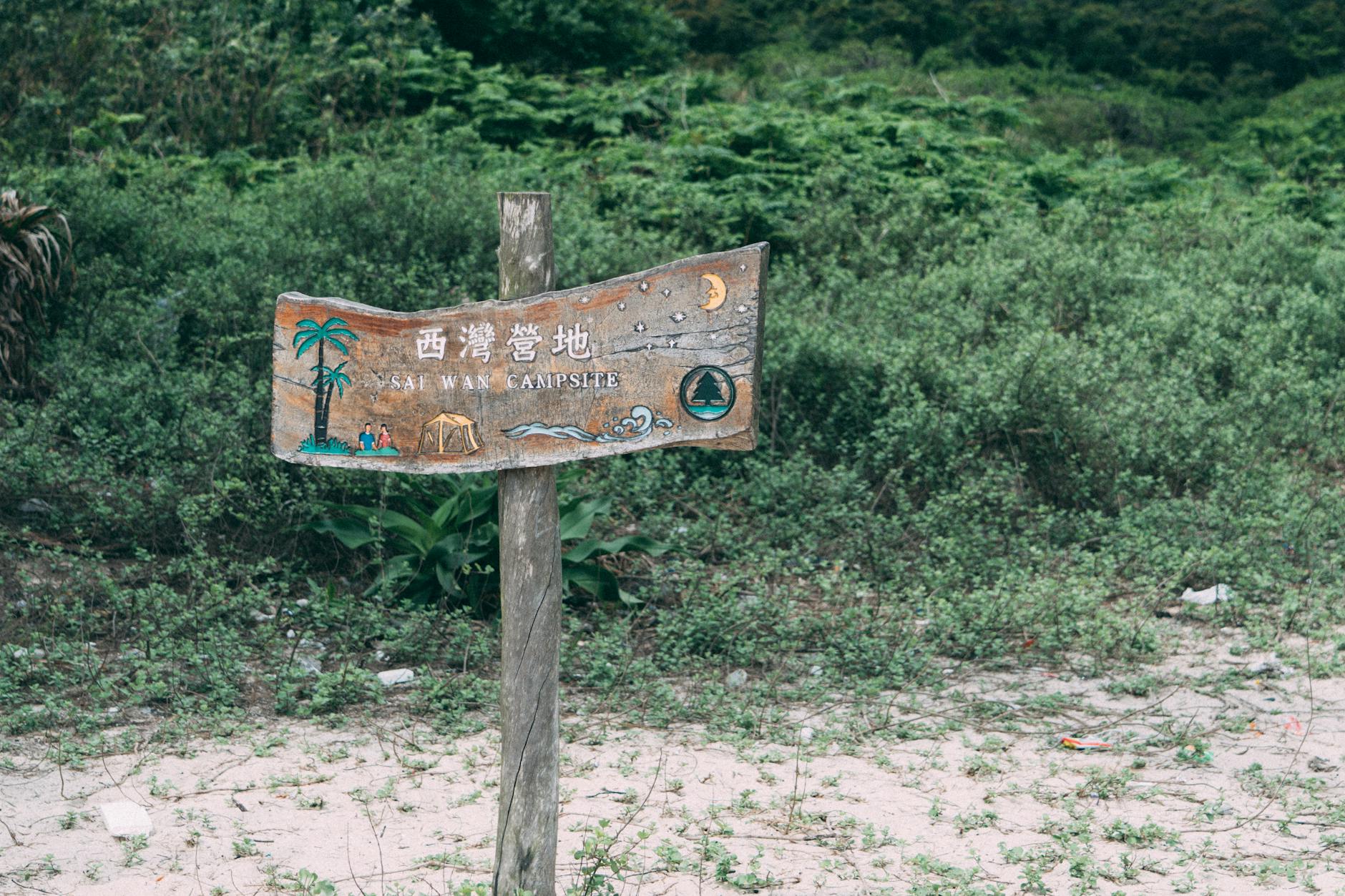 What Medical Organizations Say About Baby Sign Language