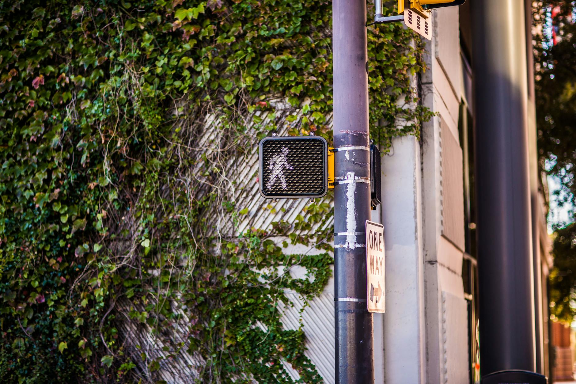 Why Snack Is One of the Most Practical Signs to Teach