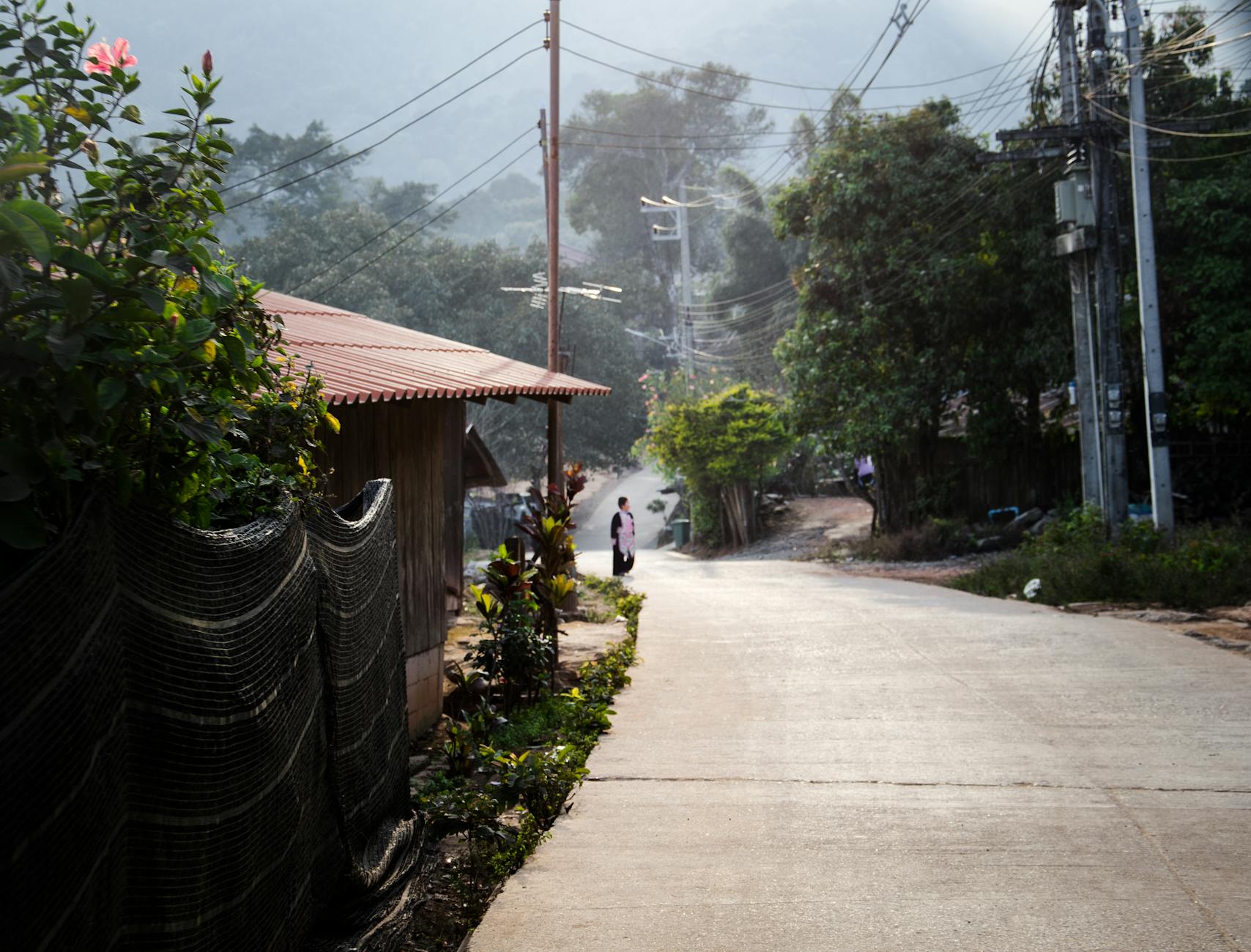 Why Water Makes an Ideal Early Sign