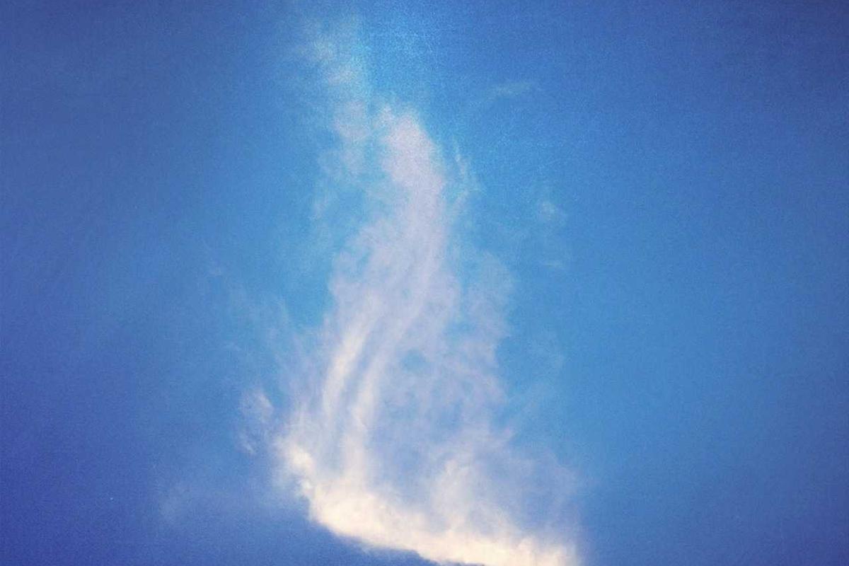 Address the Speech Development Question