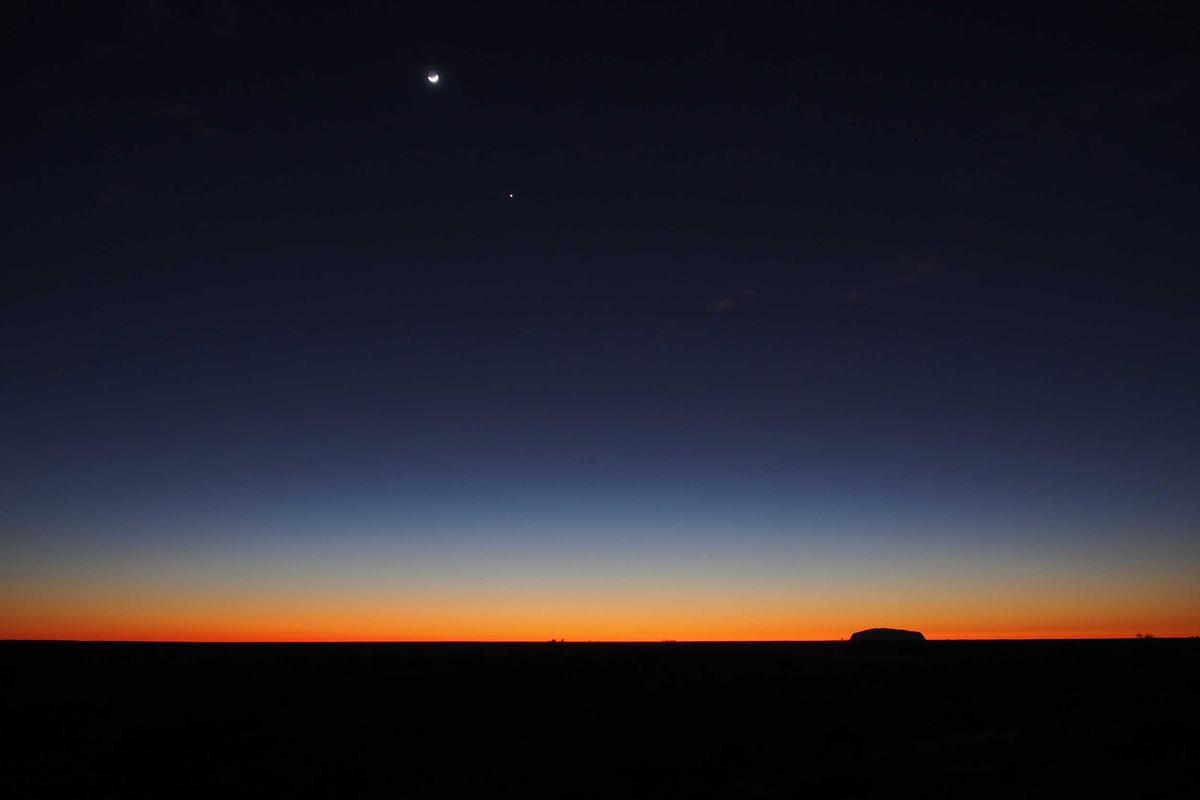 The Parental Experience—What Families Actually Report