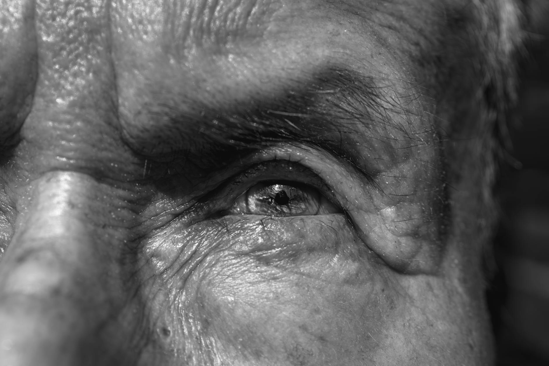 What Age Should You Start Teaching Baby Sign Language?