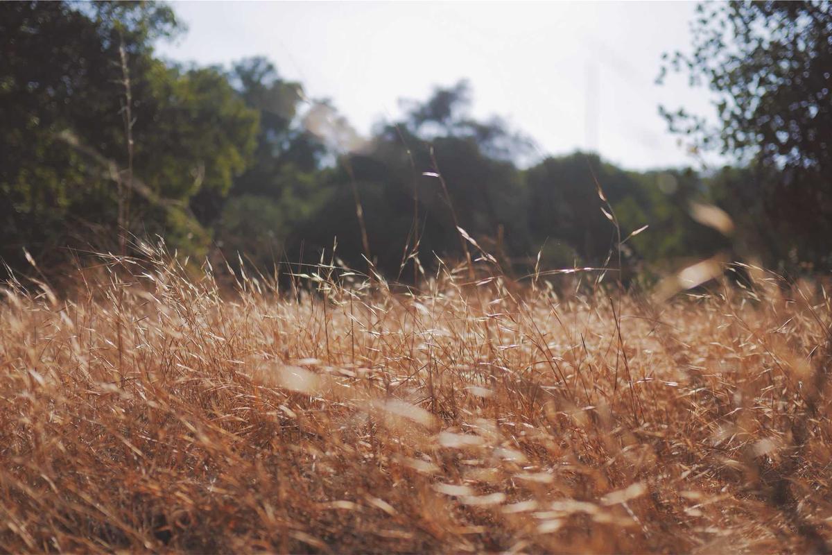 What Are Common Challenges When Teaching Toddler Sign Language?