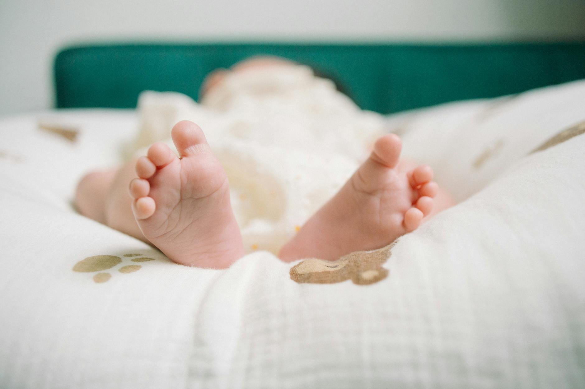 What Do Baby Sign Language Courses Actually Teach?