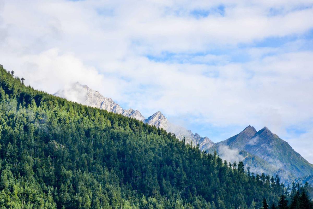 CAN SIGN LANGUAGE ACCELERATE SPEECH DEVELOPMENT IN LATE TALKERS?