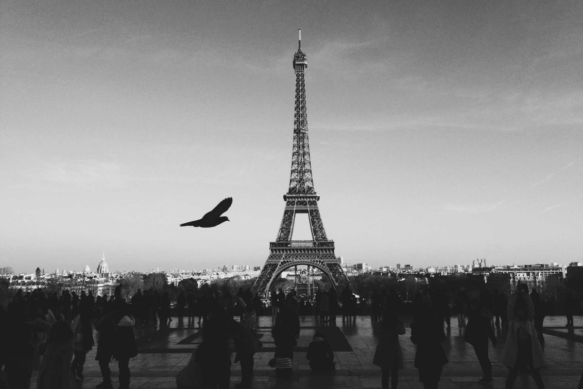 Common Misconceptions About Baby Sign Language Comprehension