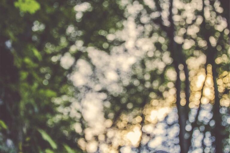 Does Baby Sign Language Improve Bonding - Featured image