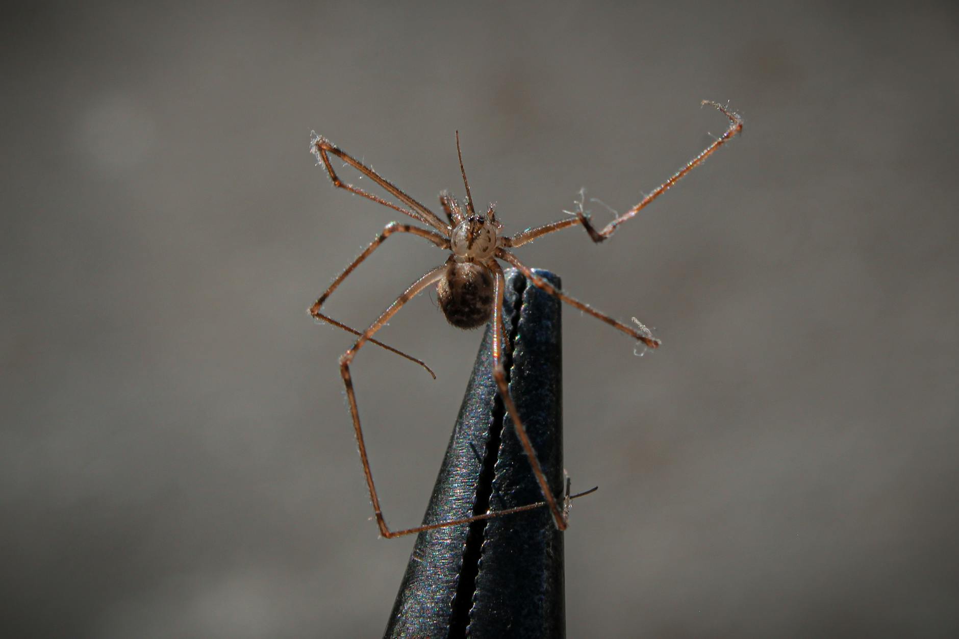 How Long Does It Actually Take to Learn Basic Sign Language?