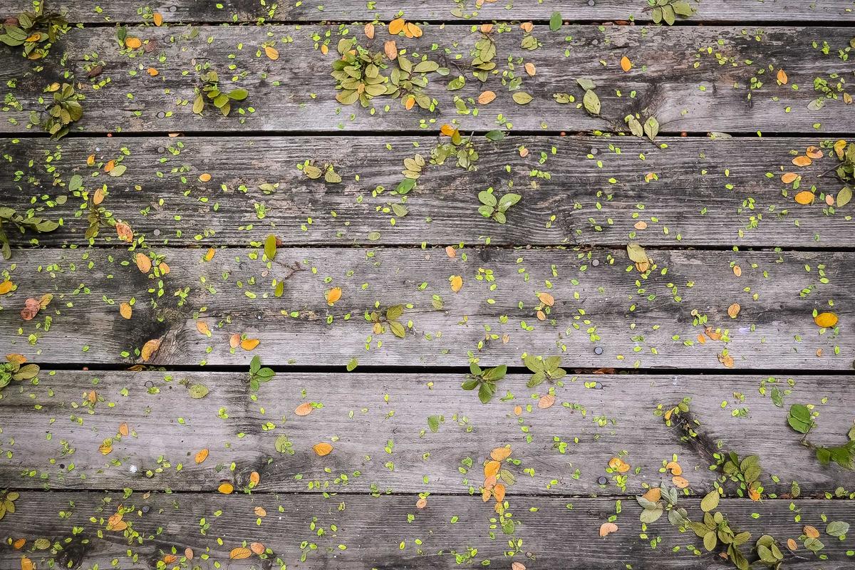 Managing the Interpreter's Own Trauma and Burnout