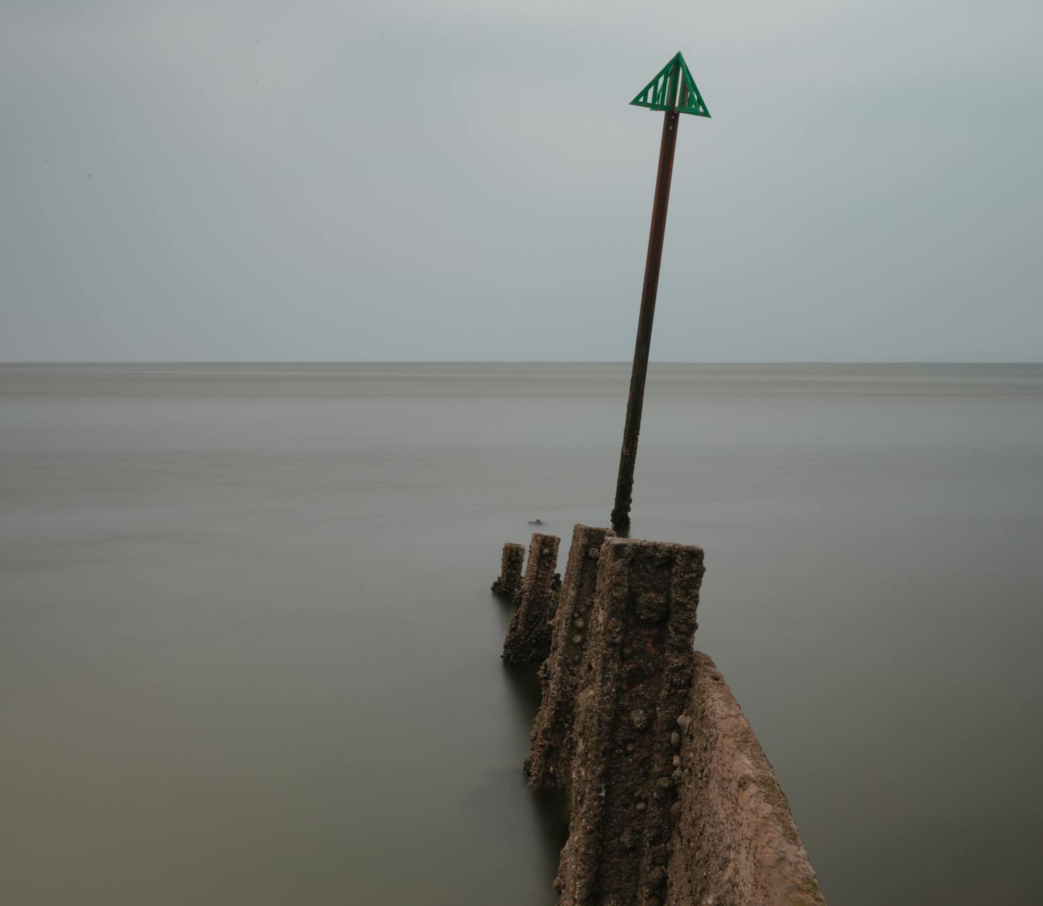 Non-Manual Markers in Early Language Development