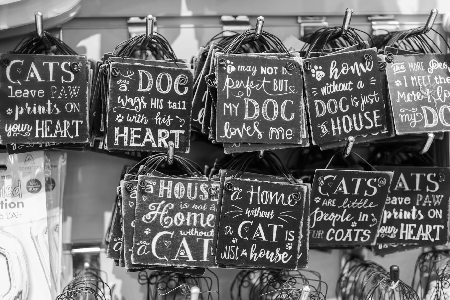 Teaching Emotion Signs Through Daily Life and Play