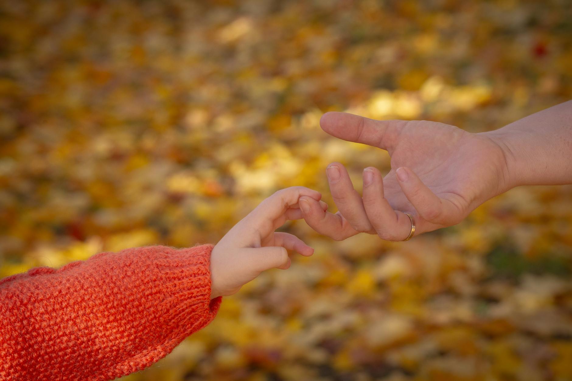 The Milestones Your Child Will Reach on the Path to Fluency