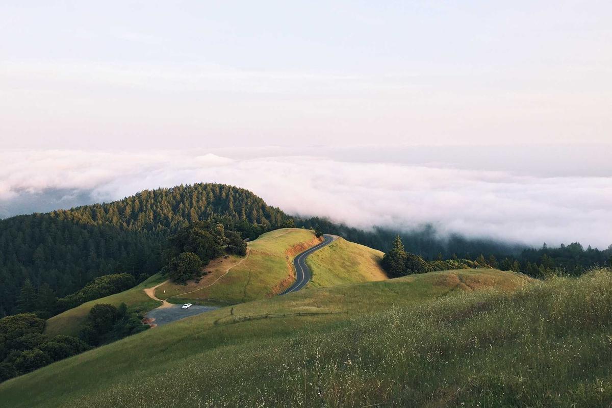 The Risk of Abandoning Signs Too Early and Inconsistent Implementation