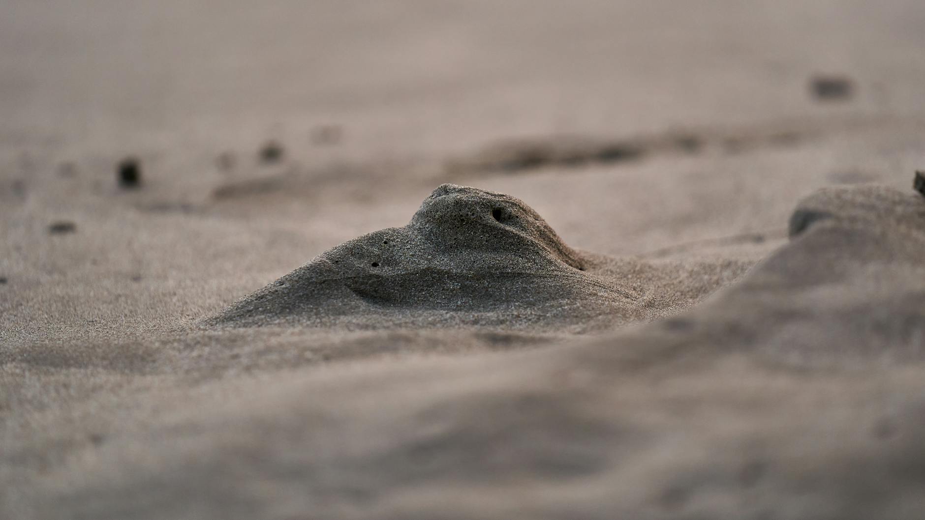 What Are Non-Manual Markers in ASL?