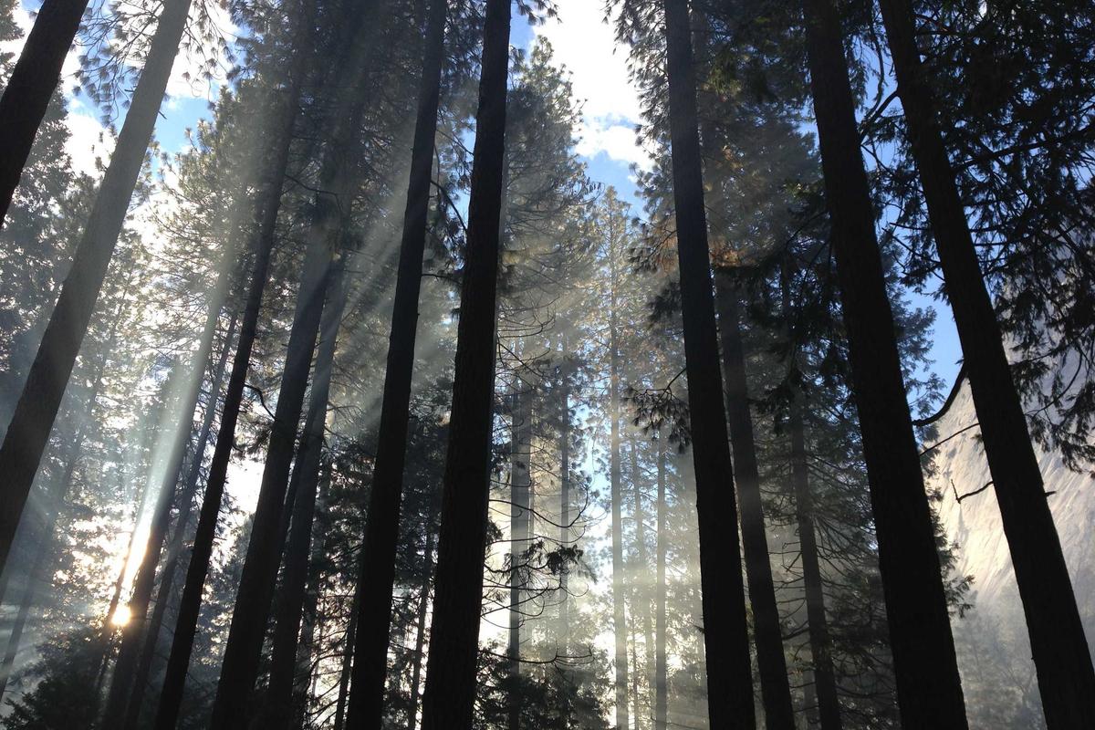 Which Signs Do 12-Month-Olds Learn Most Easily?