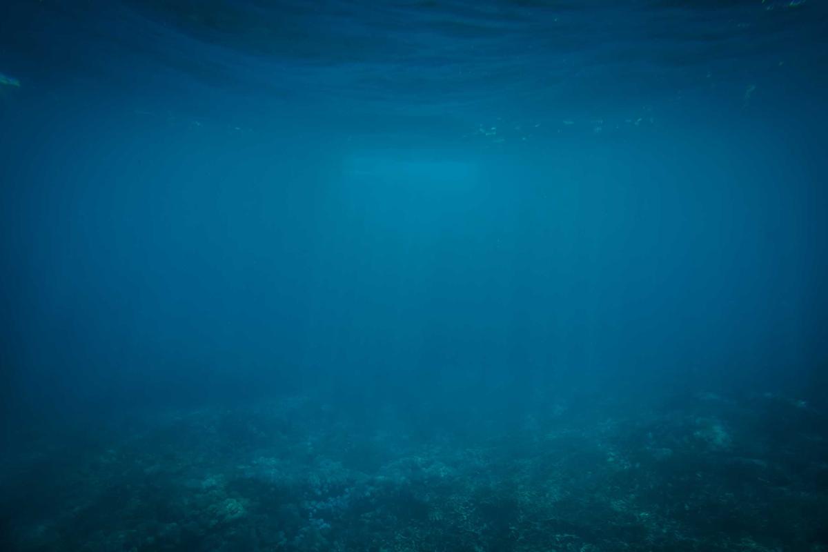 WHO USES BABY SIGN LANGUAGE VERSUS WHO USES ASL?