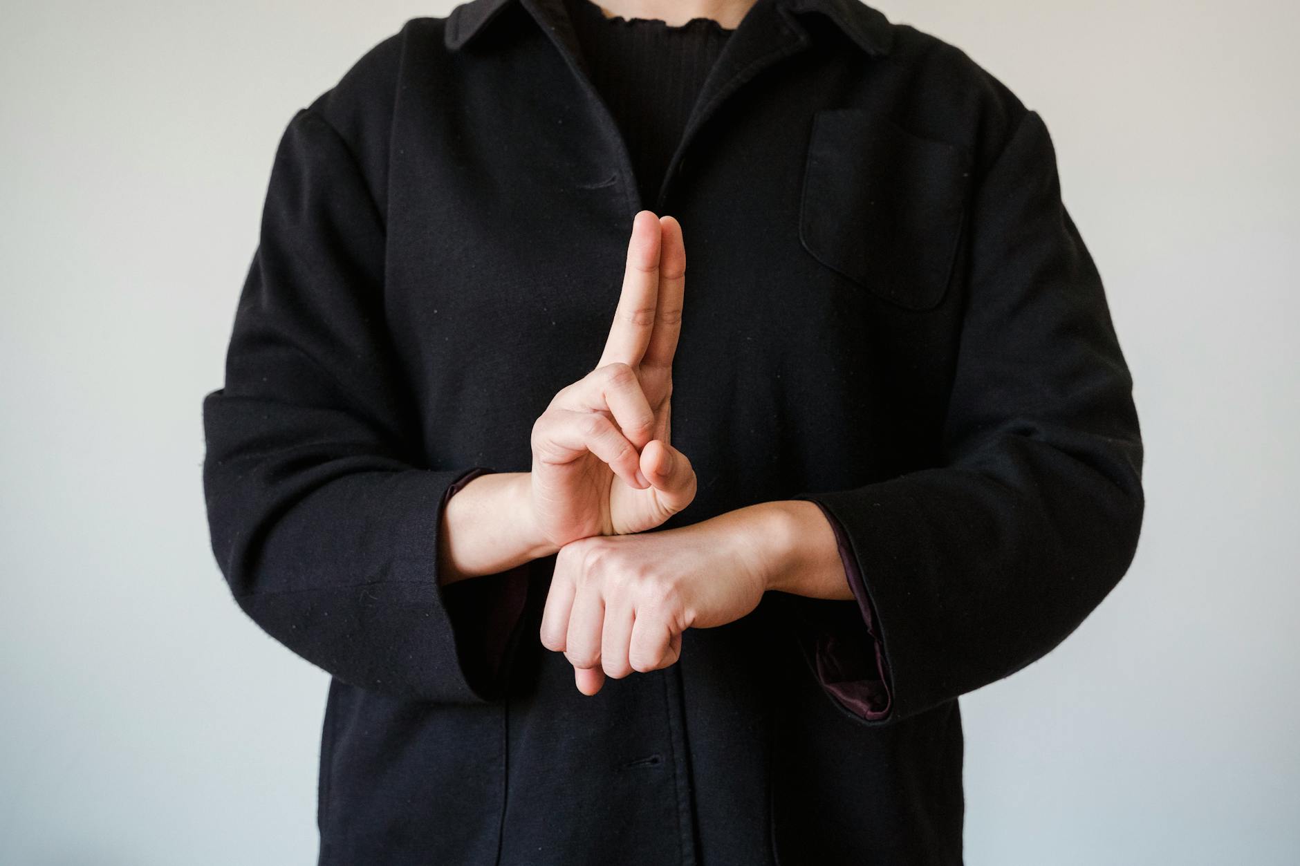 American Sign Language and Other Sign Systems in Clinical Settings