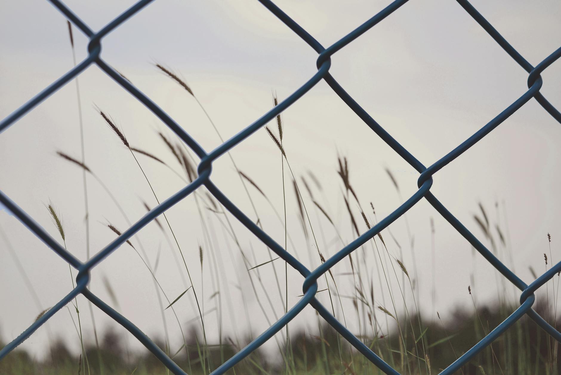 How Communication Barriers Impact Emergency Medical Services