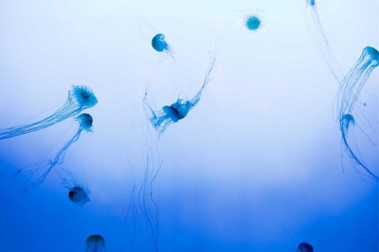 Why Healthcare Employees Need Basic ASL Training in 2026 - Featured image