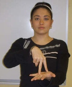 ASL sign for stand, first position